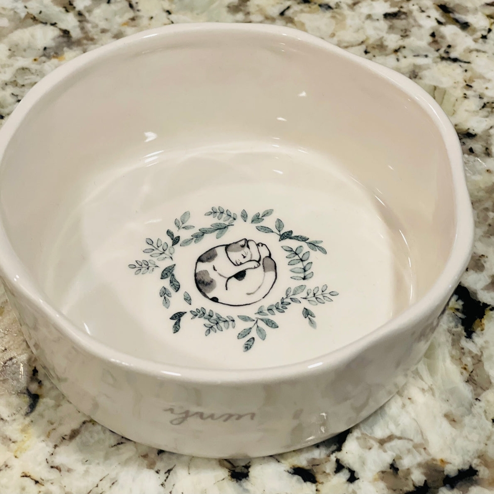 Rae Dunn White Ceramic Pet Bowl with Cat and Greenery Design